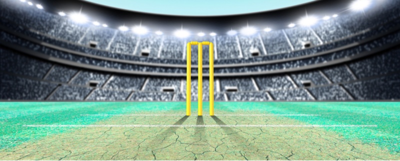 Animated cricket stadium